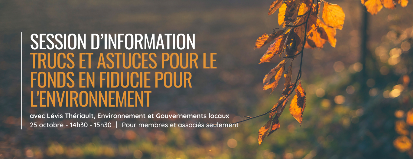 Session d'information : Trucs et astuces pour le Fonds en fiducie pour l'environnement